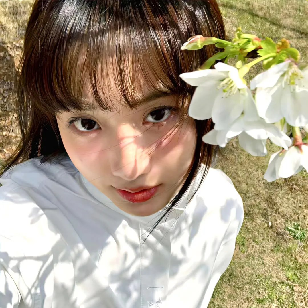 大清风云