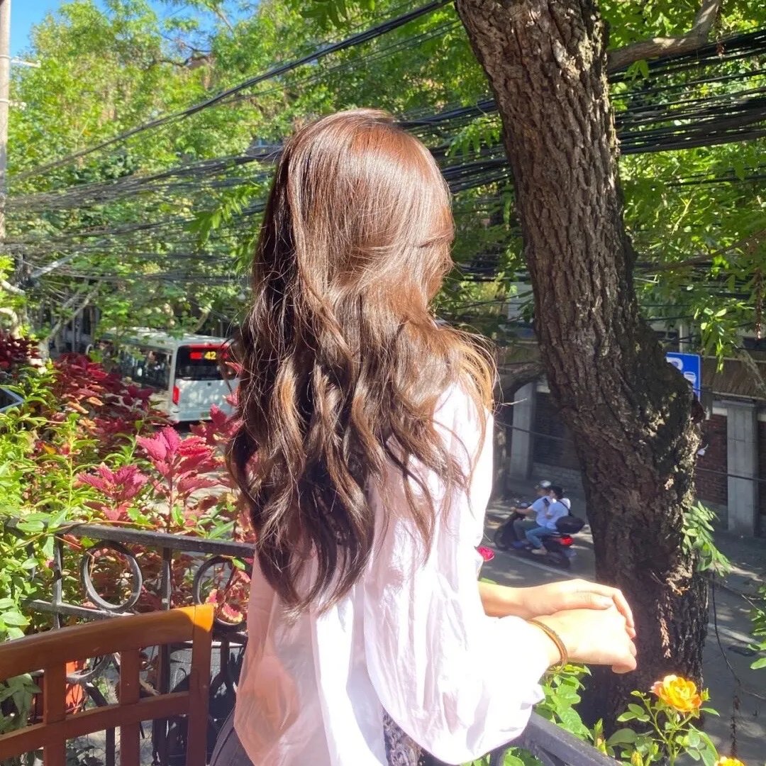 女主播风云