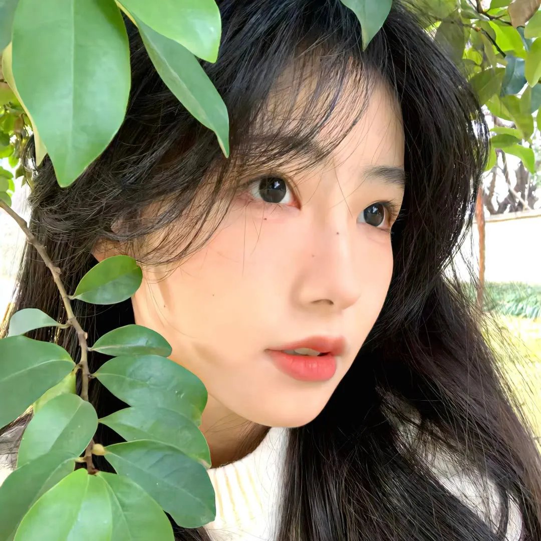 开往春天的地铁